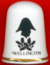 ARTHUR WELLESLEY - DUQUE DE WELLINGTON - DUBL�N 1-5-1769 - KENT (INGLATERRA) 14-9-1852