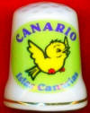 CANARIO DE CANARIAS